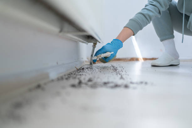 Best Affordable Pest Control Services  in Douglas, AZ